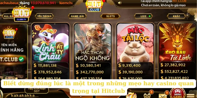 biet-dung-dung-luc-la-mot-trong-nhung-meo-hay-casino-quan-trong-tai-hitclub