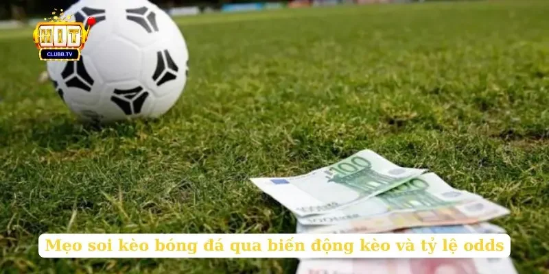 meo-soi-keo-bong-da-qua-bien-dong-keo-va-ty-le-odds